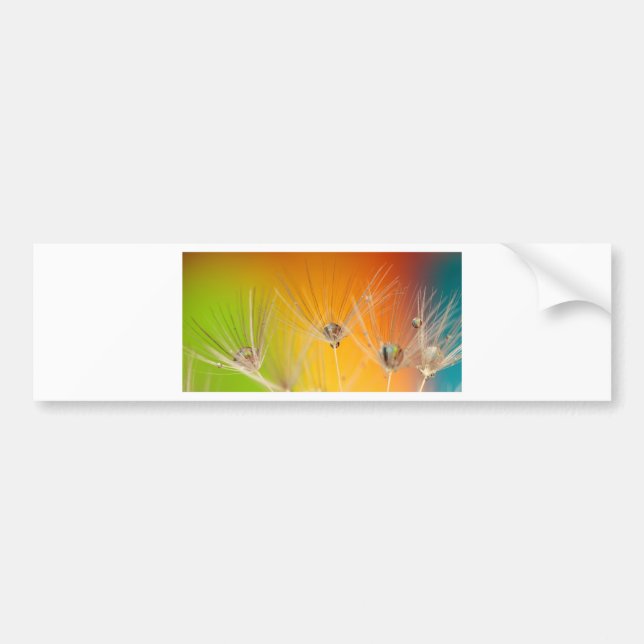 Pegatina Para Coche Flores de flores de flores de Dandelion destruyen  (Frente)