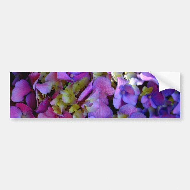 Pegatina Para Coche Flores de Hydrangeas azul morado (Frente)