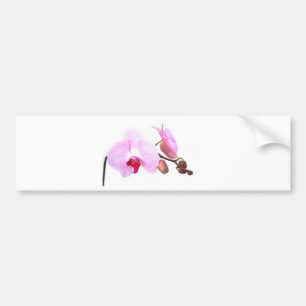 Pegatina Para Coche Flores de la orquídea de Aziza