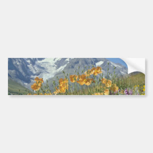 Pegatina Para Coche Flores de las montañas del Pin, Francia