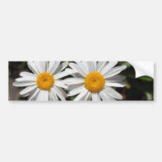 Pegatina Para Coche Flores de margarita blanca y bonito