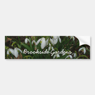 Pegatina Para Coche Flores de Primavera Blanca (Galanthus)