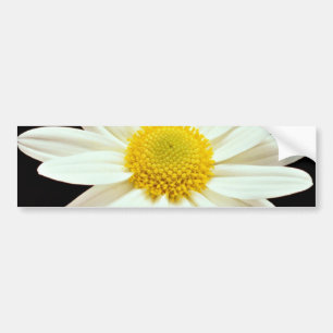 Pegatina Para Coche Flores del crisantemo de la margarita blanca