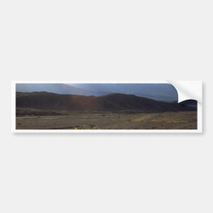 Pegatina Para Coche Flores en el Death Valley