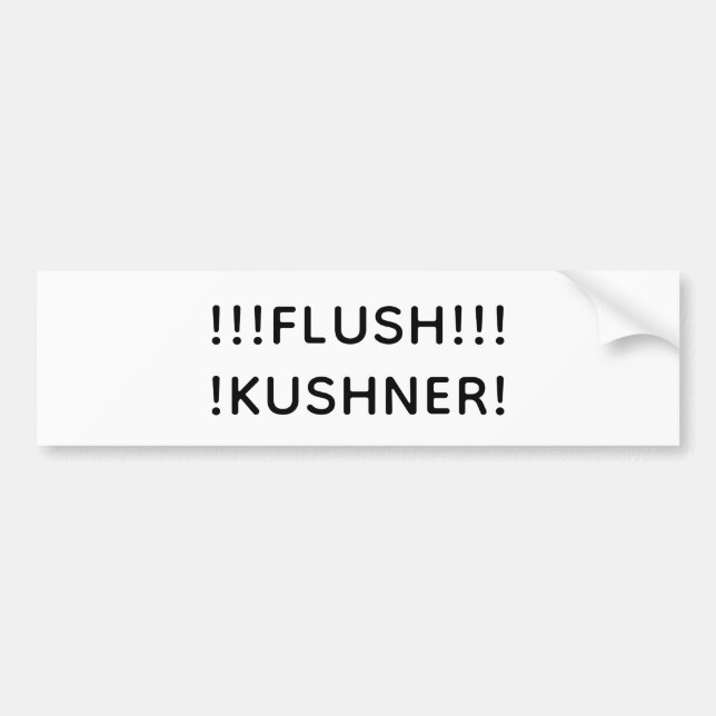 Pegatina Para Coche FLUSH KUSHNER Hankamer Artjunkhaus Splash-Art Fun! (Frente)