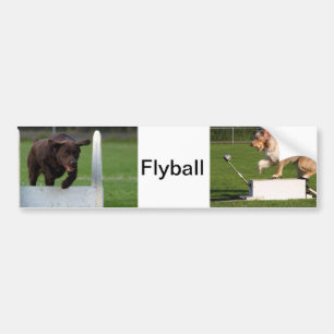 Pegatina Para Coche Flyball