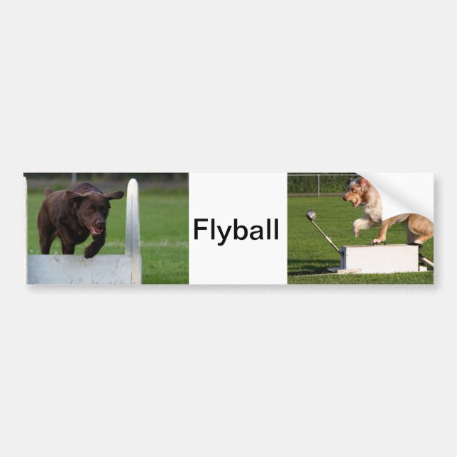 Pegatina Para Coche Flyball (Frente)