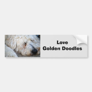 Pegatina Para Coche Fondo Goldendoodle