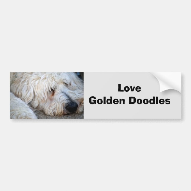 Pegatina Para Coche Fondo Goldendoodle (Frente)