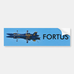 Pegatina Para Coche Fortus
