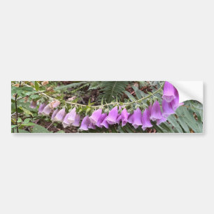 Pegatina Para Coche Foto de Foxglove