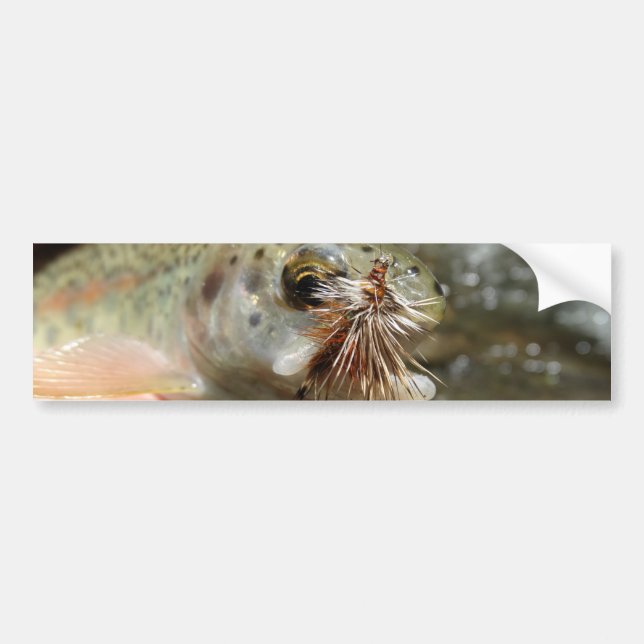 Pegatina Para Coche Foto de Rainbow Trout (Frente)