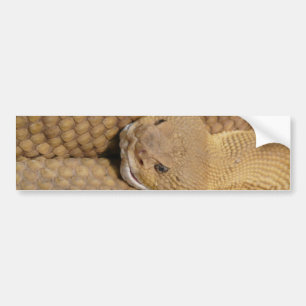 Pegatina Para Coche Foto de Scary Rattlesnake