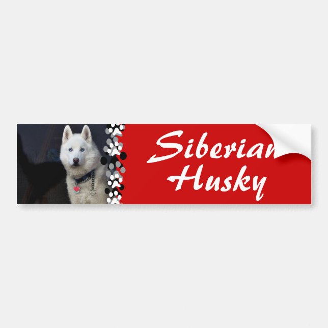 Pegatina Para Coche Foto del husky siberiano (Frente)