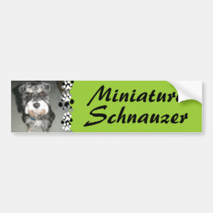 Pegatina Para Coche Foto del Schnauzer miniatura