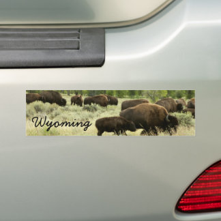 Pegatina Para Coche Fotografía de animales de la naturaleza de Wyoming