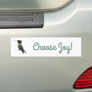 Pegatina Para Coche Fotografía de aves de colibrí de garganta rubí