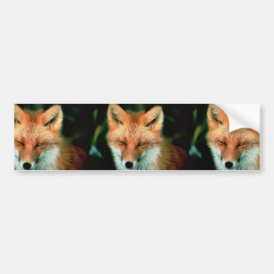 Pegatina Para Coche Fox rojo