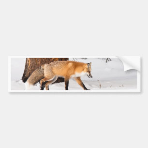 Pegatina Para Coche Fox rojo