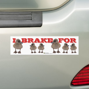Pegatina Para Coche FRACASO POR LA Foto Gray Duckin Personalizada