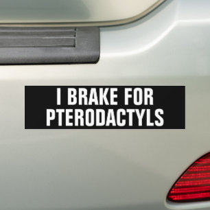 PEGATINA PARA COCHE FRACASO POR LOS PTERODACTICOS