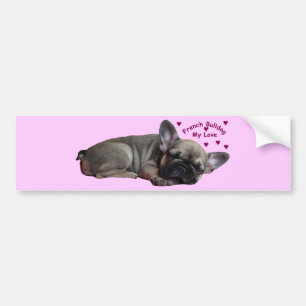 Pegatina Para Coche Französische Bulldogge
