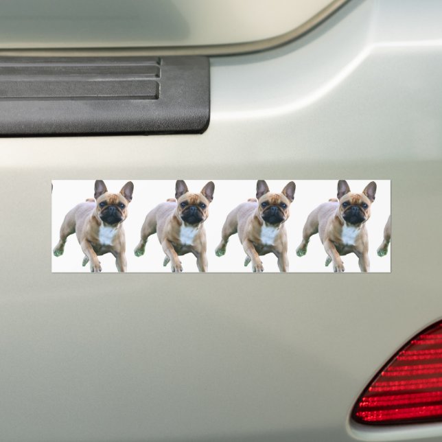 Pegatina Para Coche Französische Bulldogge Sprung French Bulldog (en coche)