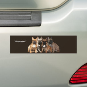 Pegatina Para Coche ¿Französische Bulldoggen fue un guckst du ?