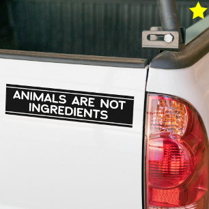 Pegatina Para Coche Frase de derechos de los animales Vegano Vegetaria