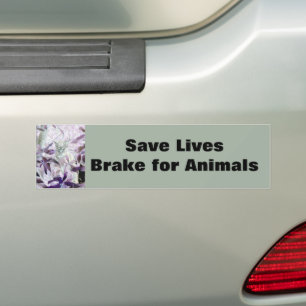 Pegatina Para Coche Freno para animales Gato púrpura