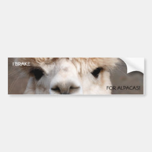 PEGATINA PARA COCHE ¡FRENO, PARA LAS ALPACAS!