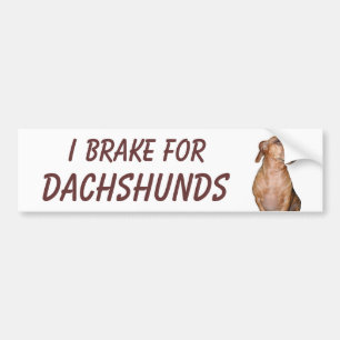 PEGATINA PARA COCHE FRENO PARA LOS DACHSHUNDS