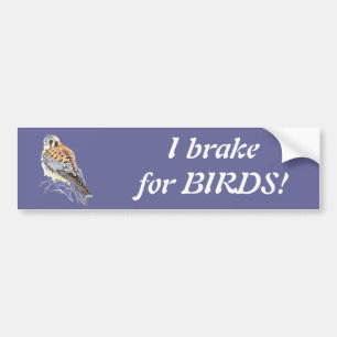 Pegatina Para Coche Freno por aves - Acuarela de cerda de aves