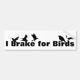 Pegatina Para Coche Freno por aves, acuarela por aves
