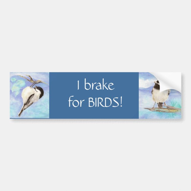 Pegatina Para Coche Freno por Aves - Aves (Frente)
