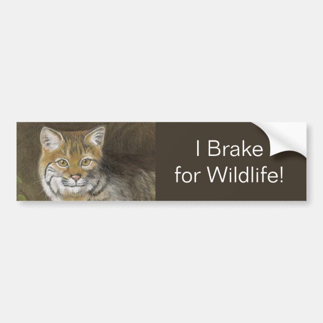 Pegatina Para Coche Freno por Bobcat de la vida salvaje (Frente)