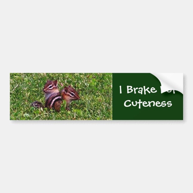Pegatina Para Coche Freno Por Cuteness Chipmunks Bumper Sticker (Frente)