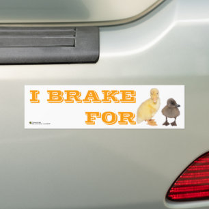 Pegatina Para Coche Freno Por La Foto Adorable De Ducklings Personaliz