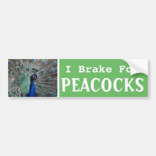 Pegatina Para Coche Freno por PEACOCKS