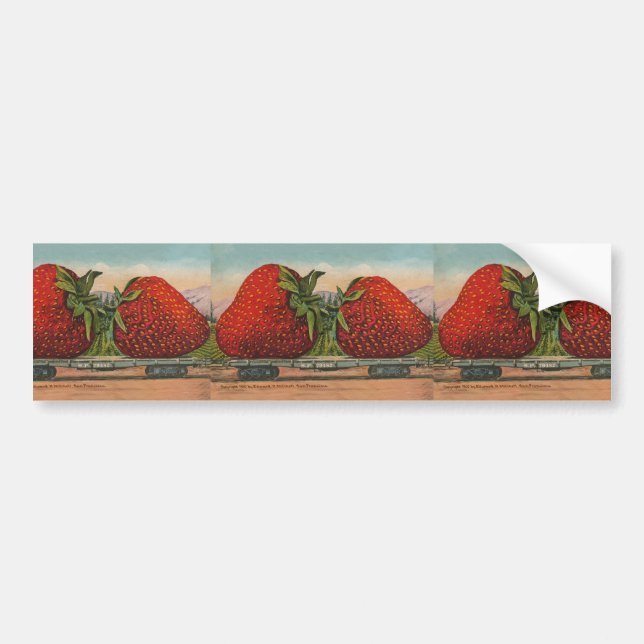 Pegatina Para Coche Fresas Gigante Fruto de la Antigüedad (Frente)