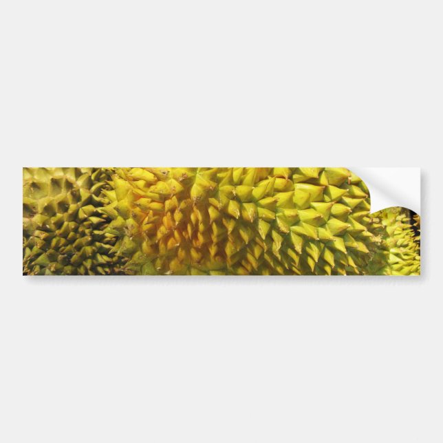 Pegatina Para Coche Fruta duriana (Frente)