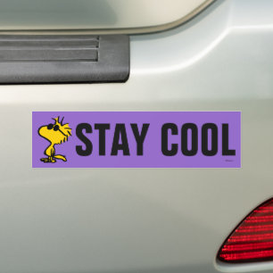 Pegatina Para Coche Gafas de sol Guay Woodstock