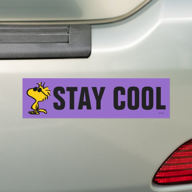 Pegatina Para Coche Gafas de sol Guay Woodstock (en coche)