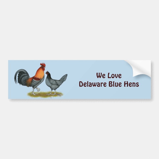 Pegatina Para Coche Gallina azul de Delaware (Frente)