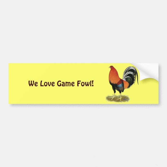 Pegatina Para Coche Gamecock Wheaten Rooster (Frente)