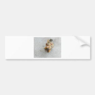 Pegatina Para Coche Gatito de gato salvaje