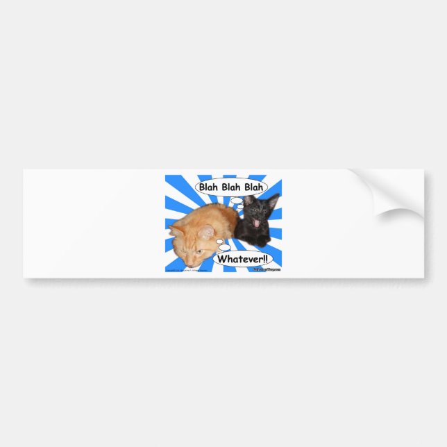 Pegatina Para Coche ¡Gatito del hippy soso - soso lo que!! (Frente)