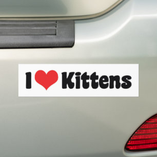 Pegatina Para Coche Gatitos del Corazón que Amo - Amante de los Gatos