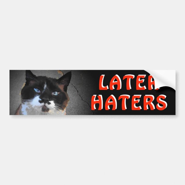 Pegatina Para Coche Gato Bigote Meme Dice Más Tarde (Frente)