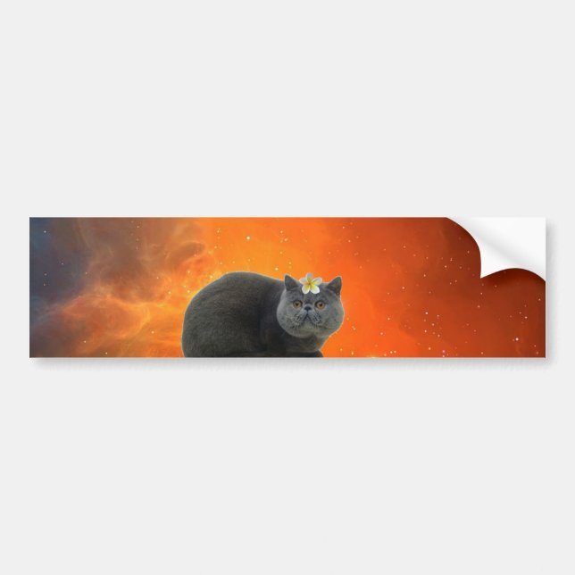 Pegatina Para Coche Gato con la flor (Frente)